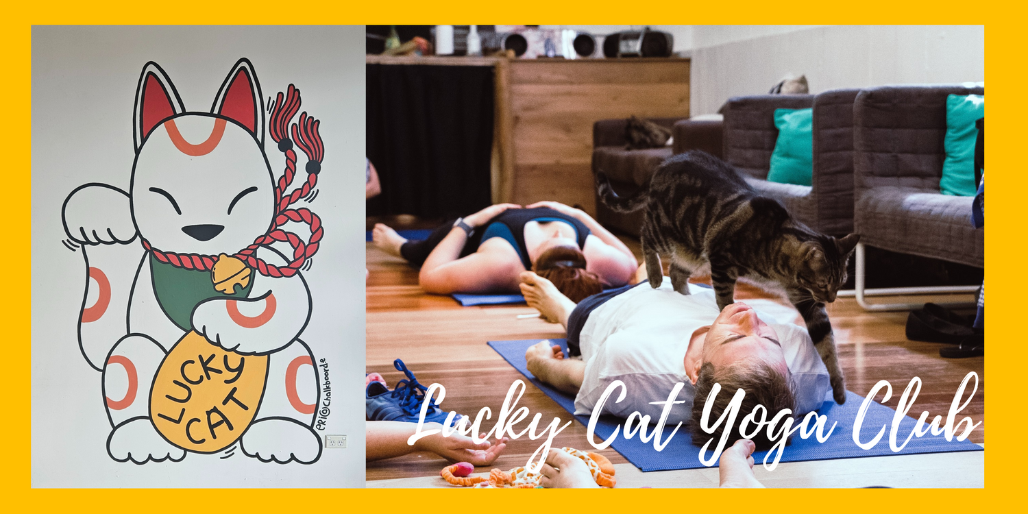 Lucky Cat Yoga Club
