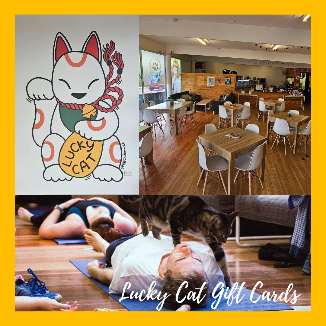 LCC Gift Card - Online Store Only
